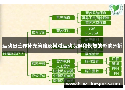 运动员营养补充策略及其对运动表现和恢复的影响分析