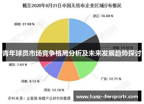 青年球员市场竞争格局分析及未来发展趋势探讨